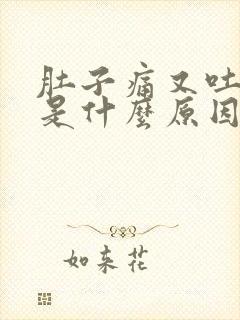 肚子痛又吐又拉是什么原因