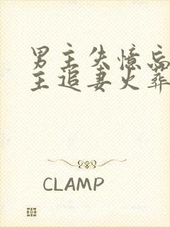 男主失忆忘了女主追妻火葬场