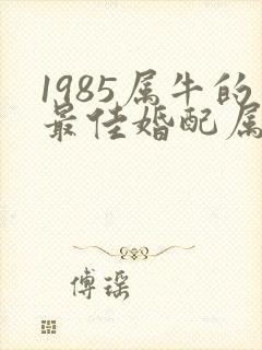 1985属牛的最佳婚配属相