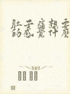 肚子痛想要大便的感觉什么原因