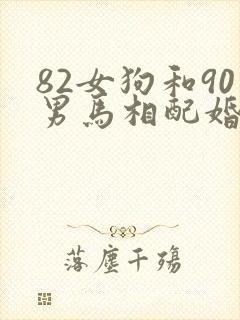 82女狗和90男马相配婚姻如何