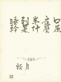 睡到半夜口苦口干是什么原因