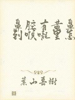 鼻腔有黄鼻涕流到喉咙里怎么办