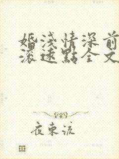 婚浅情深前夫请滚远点全文免费阅读封面