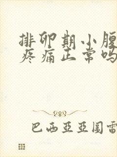 排卵期小腹坠胀疼痛正常吗封面