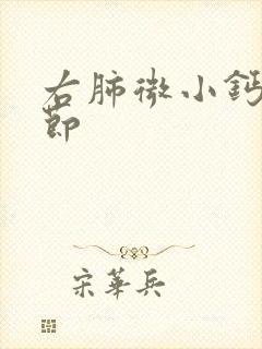 右肺微小钙化结节