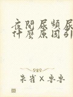 夜间尿频尿少是什么原因引起的