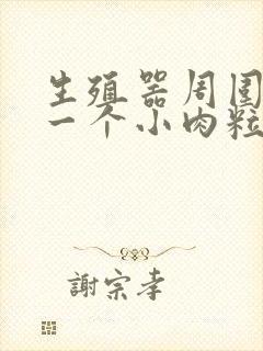 生殖器周围长了一个小肉粒