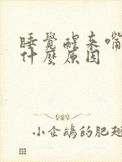 睡觉醒来嘴巴苦什么原因