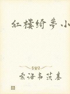 红楼绮梦小说封面