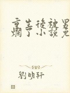 重生后被男神们烂了小说免费阅读