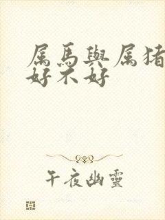 属马与属猪婚配好不好