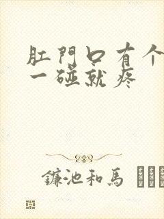 肛门口有个疙瘩一碰就疼