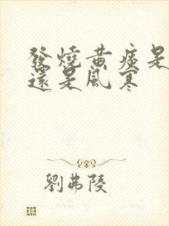 发烧黄痰是风热还是风寒