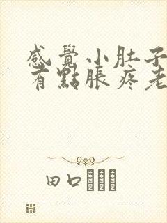 感觉小肚子下坠有点胀疼老感觉有尿