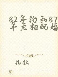 82年狗和87年兔相配婚姻如何封面