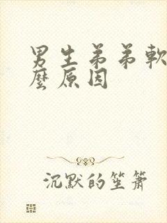 男生弟弟软是什么原因