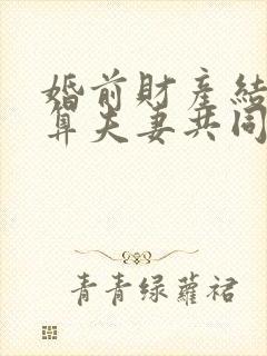 婚前财产结婚后算夫妻共同财产吗封面