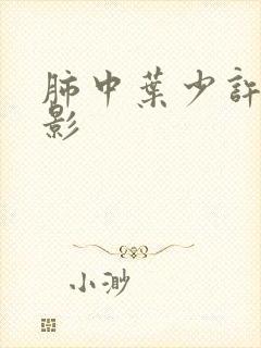 肺中叶少许条索影封面