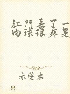 肛门长了一个小肉球很疼是怎么回事封面