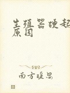 生殖器硬起不坚原因