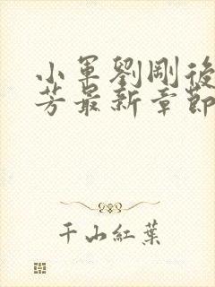 小军刘刚后妈李芳最新章节阅读