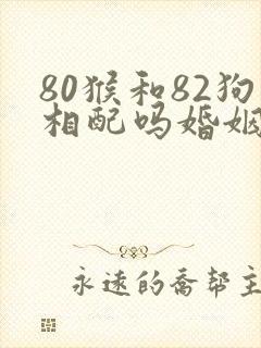 80猴和82狗相配吗婚姻
