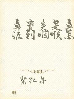 鼻窦炎是鼻涕倒流到咽喉怎么治封面