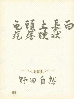 龟头上长白色的疙瘩硬状