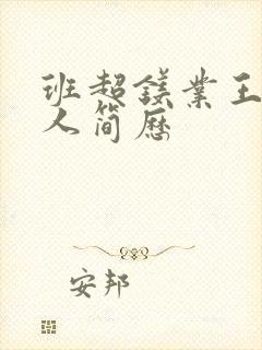 班超镁业王静个人简历