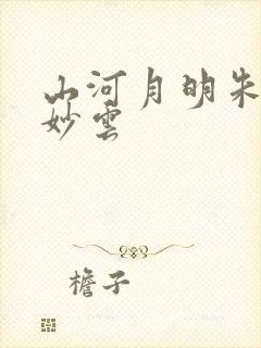 山河月明朱棣徐妙云