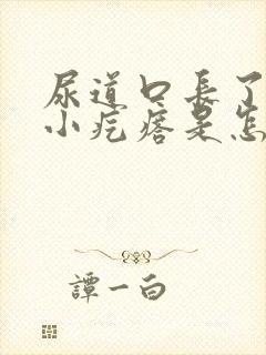 尿道口长了一个小疙瘩是怎么回事封面