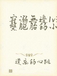 宠溺无边1v3双胞胎的小说