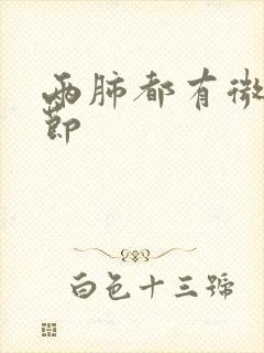 两肺都有微小结节