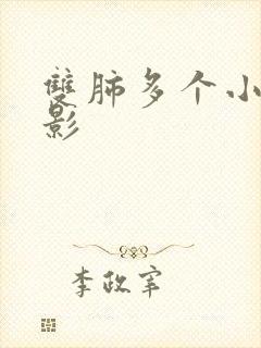 双肺多个小结节影