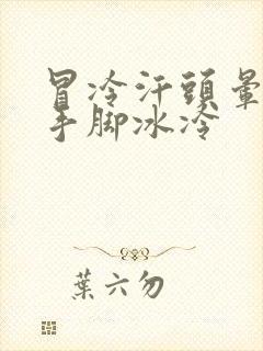 冒冷汗头晕想吐手脚冰冷封面