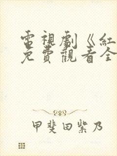 电视剧《红日》免费观看全集