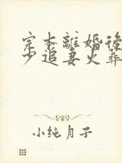 完本离婚后,傅少追妻火葬场封面