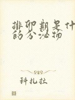 排卵期是什么样的分泌物