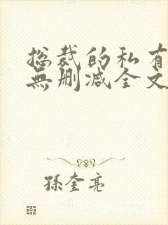 总裁的私有宝贝无删减全文免费