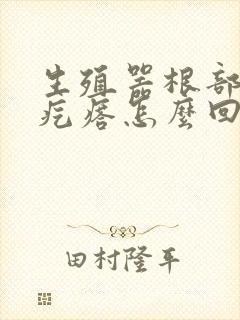 生殖器根部长硬疙瘩怎么回事