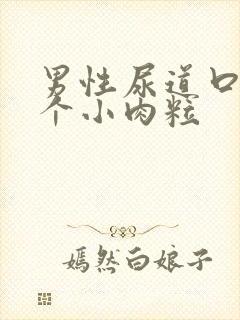 男性尿道口长一个小肉粒