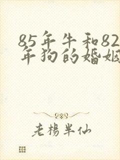 85年牛和82年狗的婚姻怎么样