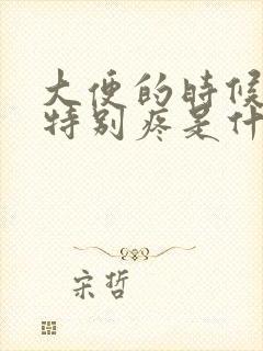 大便的时候肚子特别疼是什么原因