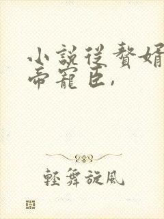 小说从赘婿到女帝宠臣,