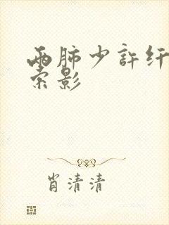 两肺少许纤维条索影