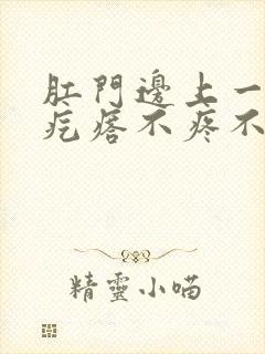 肛门边上一个硬疙瘩不疼不痒封面