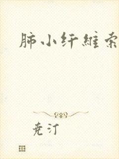 肺小纤维索条影