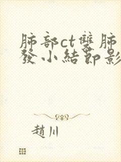 肺部ct双肺多发小结节影