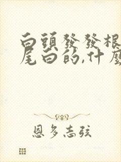 白头发发根黑发尾白的,什么原因